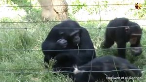 Инженеры сознания. Всё, что нужно знать о современном обществе.