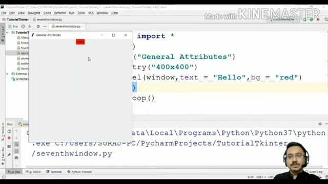 #7 Tkinter Tutorial | General Attributes | Label | Widgets |Tkinter Python | GUI Python