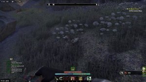 The Elder Scrolls Online: Гайд по рыбалке!