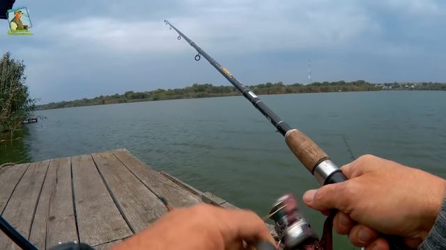 Удочка поплавочная с кормушкой. Совет начинающему рыбаку.