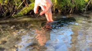 Anker Soundcore Motion+ в воде | Water Test | Тест портативной колонки под водой