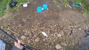 Рыбалка на реке Волхов | Ловля на поплавочную удочку