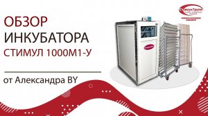 Обзор инкубатора Стимул 1000М1-У