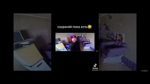 крысу скрысил мышь