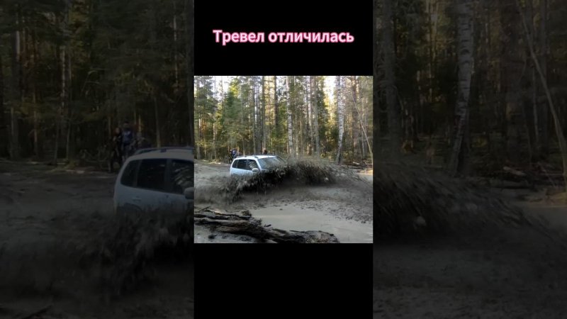 Нивы, УАЗы, дискарь, кто сядет? #нива #ниватревел #offroad #женскийоффроуд