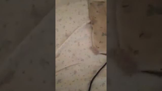 Использование электрической грелки