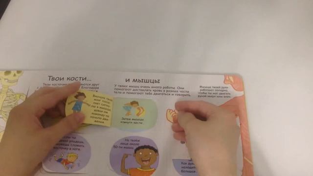 Луи Стовелл "Секреты Человека"