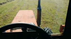 Сенокос 2021: техника, девушка на тракторе, заготовка сена на мтз, кто будет есть сено?