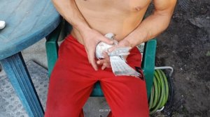 Голуби) Лечимся от Оспы?
