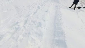 Трюки со Снежного Трамплина на Самокате с Лыжами ! СноуСамокат от Tech Team