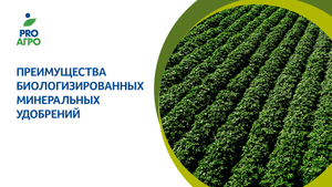 Преимущества биологизированных минеральных удобрений