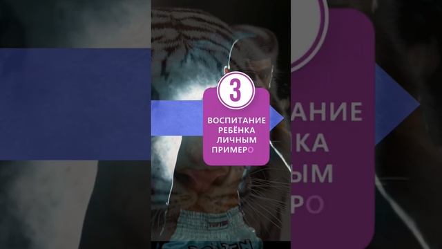 КУДО тренировки взрослым и детям. Клуб кудо для семей. Спорт ярославля #белыйтигрярославль