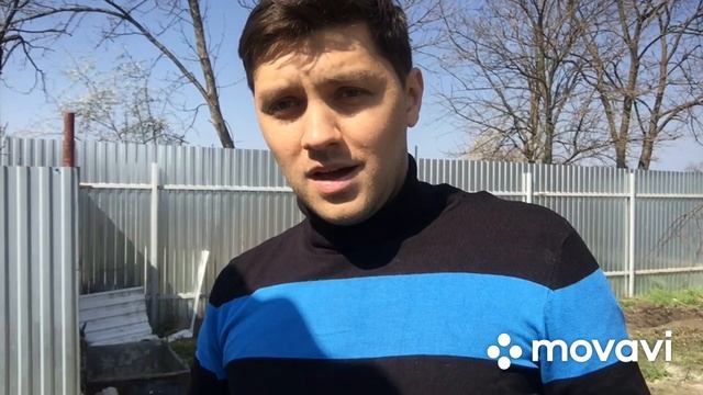 Посадка плода грецкого ореха весной.