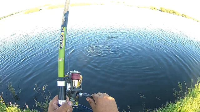 Ловля карпа на бойлы 13.08-14.08.17 смотреть онлайн