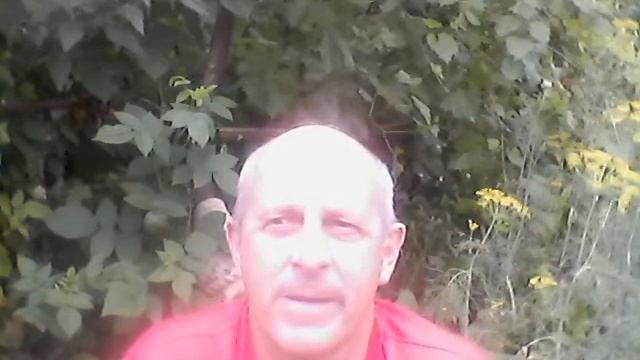 Номер дома и квартиры 2. Кто живет? значение/ нумерология смотреть онлайн