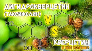 Дигидрокверцетин (таксифолин) лучше кверцетина? ? Самые свежие научные факты от врача