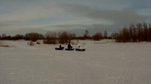 катаем на мото  собака  север