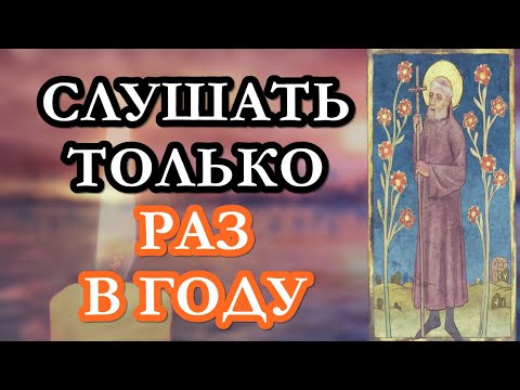 Сколько раз за час катя успеет прослушать