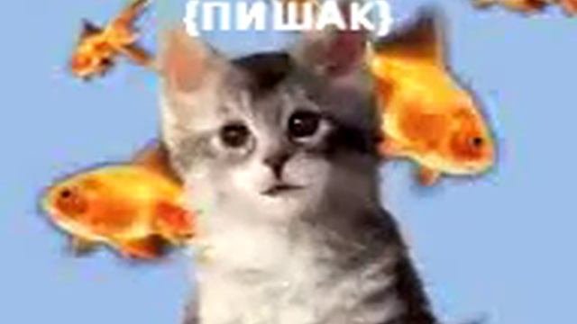 Золотое слово!