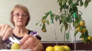 VID 20201128  Мандарин Тардиво.