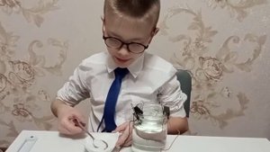 Проводит ли вода электрический ток?
