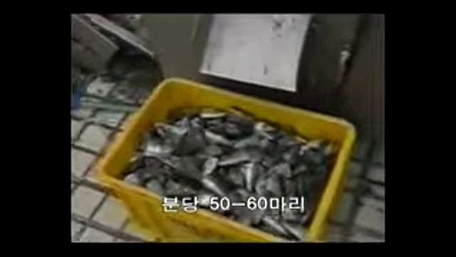 Машина для перпендикулярной нарезки целой рыбы CHFC 300