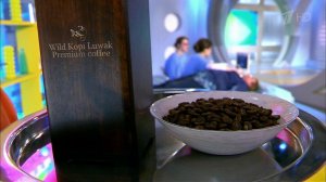 Кофе лювак. Жить здорово! Фрагмент выпуска от 11.05.2016