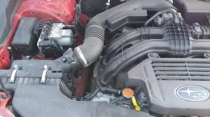 Стучит ли Subaru FB20d громкий звук двигателя при прогреве warming up engine knock sound