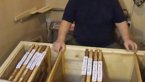 Как получить вощину? Пересаживаем пчёл с 300 на 460 рамки с доходом.