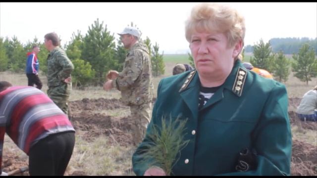 В Каменском районе высадили полторы тысячи сеянцев сосны смотреть онлайн