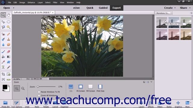 Photoshop Elements 15 Tutorial Applying Effects Adobe Training смотреть онлайн