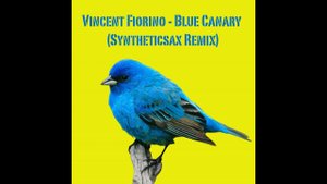 Vincent Fiorino - Blue Canary (Syntheticsax Remix extended)