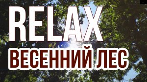 RELAX — МУЗЫКА ДЛЯ СНА. ЗВУКИ ПРИРОДЫ — ВЕСЕННИЙ ЛЕС
