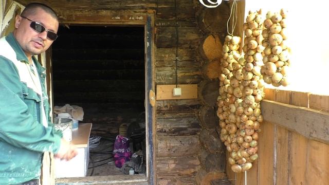 Делаю деньги ничего не делая!