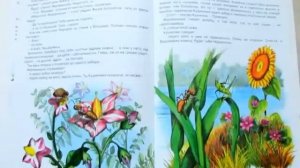 В. Бианки. Как муравьишка домой спешил