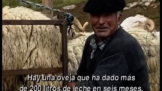 QUESO Artesano En Una Cabaña Del Pirineo. Elaboración En 1996 Con Leche Recién Ordeñada | Documenta