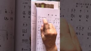 Что обозначают цифры над нотацией.