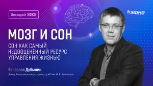 Лекторий ЭФКО. «Мозг и сон. Сон как самый недооценённый ресурс управления жизнью» – Вячеслав Дубынин