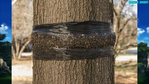 Как избавиться от муравьев на участке  лучшие способы борьбы с муравьями химия и народные средства