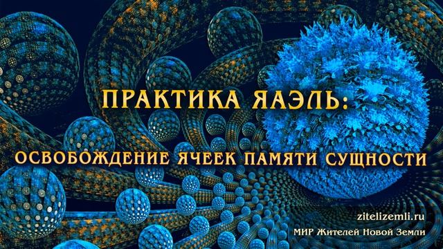 Практика ЯАЭЛЬ. Освобождение ячеек памяти сущности.