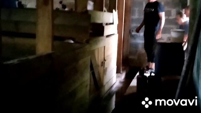 Наконец купили корову. Ура!!! смотреть онлайн