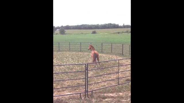 Louise August 11 2020 смотреть онлайн