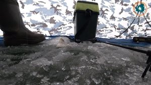 Рыбалка на р.Узе р-он Шемышейки. В троём в палатке косим плотву.