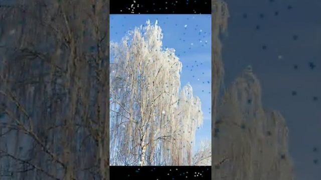 ТЫ ПОСМОТРИ, ЗИМА ПРЕКРАСНА !!! ... ❄❄❄ #зимапрекрасна смотреть онлайн
