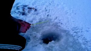 Зимняя рыбалка2016 Winter fishing 2016