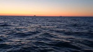 Ержан Есимханов. Заплыв через Ла-Манш 3 июля 2019 года