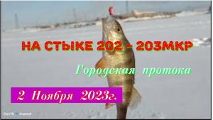 Рыбалка. На стыке 202 - 203 мкр. Городская протока. 02.11.2023г.
