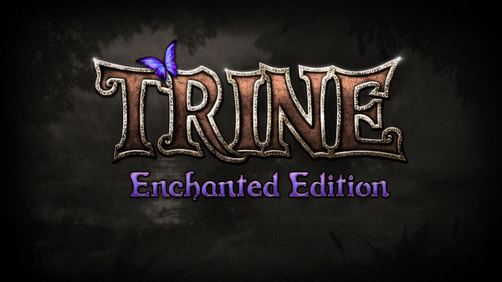 #14 Финал в Trine