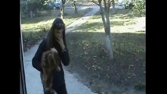 Профессия ветеринар смотреть онлайн