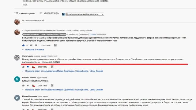 Щенкам шпица 26 дней. Щенок пробует корм в первый раз. Первый Гав Певуньи. Дизлайкер обвиняет нас